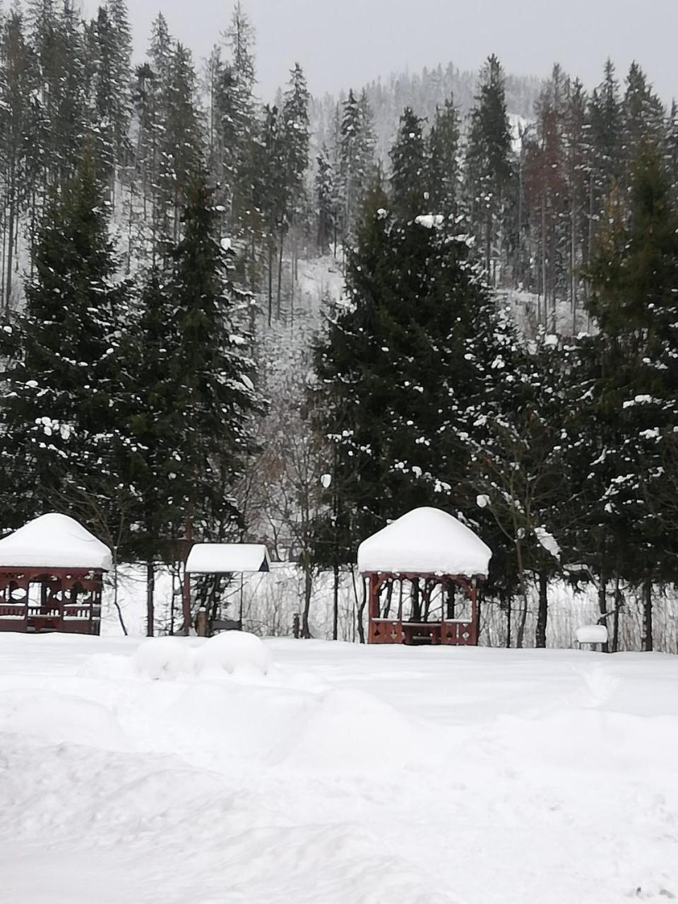 Кукулька Міні-Готель Slavske Bagian luar foto